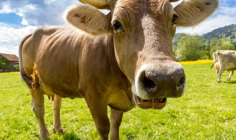 Private-label manufacturing built for your brand. We help you develop, produce, and package fertilizer products with consistent quality and dependable supply, so you can launch confidently and scale with ease.