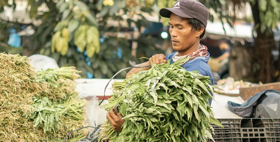 Make better decisions in the field with practical, agronomy-led support. We work with growers and farm teams to diagnose challenges early, optimize fertilization programs, and improve both yield and crop quality based on real field conditions.