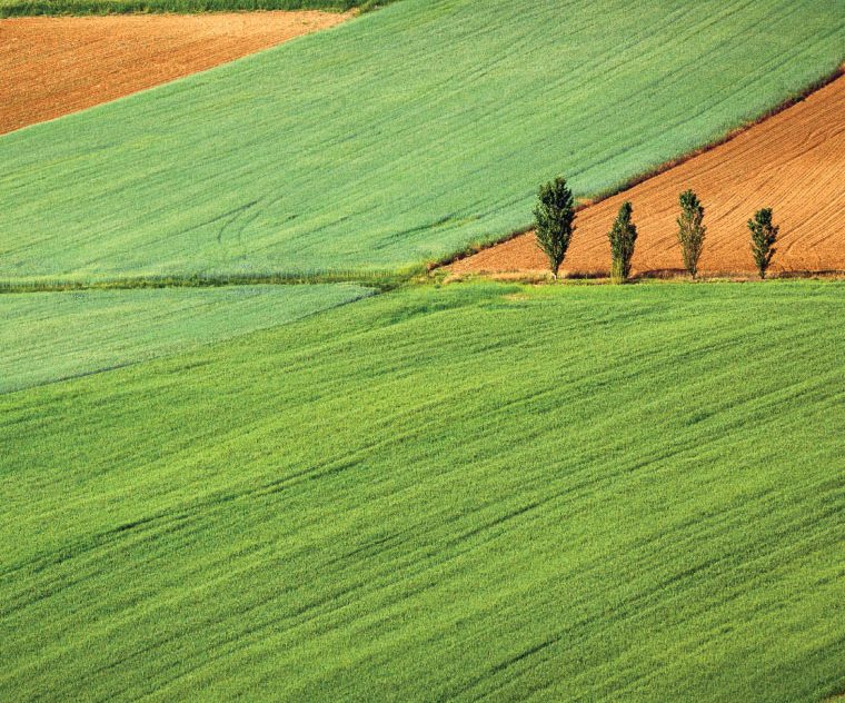 There are many variations of passages of Lorem Ipsum available, but majority have suffered teration in some form, by injected humour, or randomised words which don't look even slight believable. If you are going to use a passage of Lorem Ipsum.