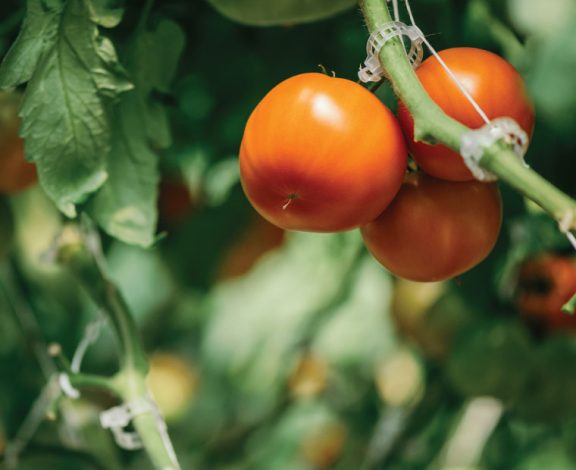 There are many variations of passages of Lorem Ipsum available, but majority have suffered teration in some form, by injected humour, or randomised words which don't look even slight believable. If you are going to use a passage of Lorem Ipsum.