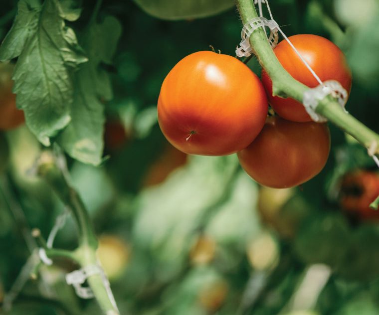 There are many variations of passages of Lorem Ipsum available, but majority have suffered teration in some form, by injected humour, or randomised words which don't look even slight believable. If you are going to use a passage of Lorem Ipsum.