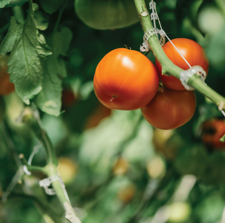 There are many variations of passages of Lorem Ipsum available, but majority have suffered teration in some form, by injected humour, or randomised words which don't look even slight believable. If you are going to use a passage of Lorem Ipsum.